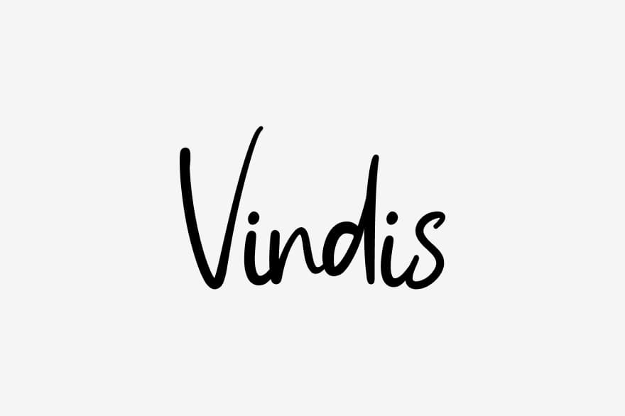 Vindis-group-logo-designer-peterborough-cambridge